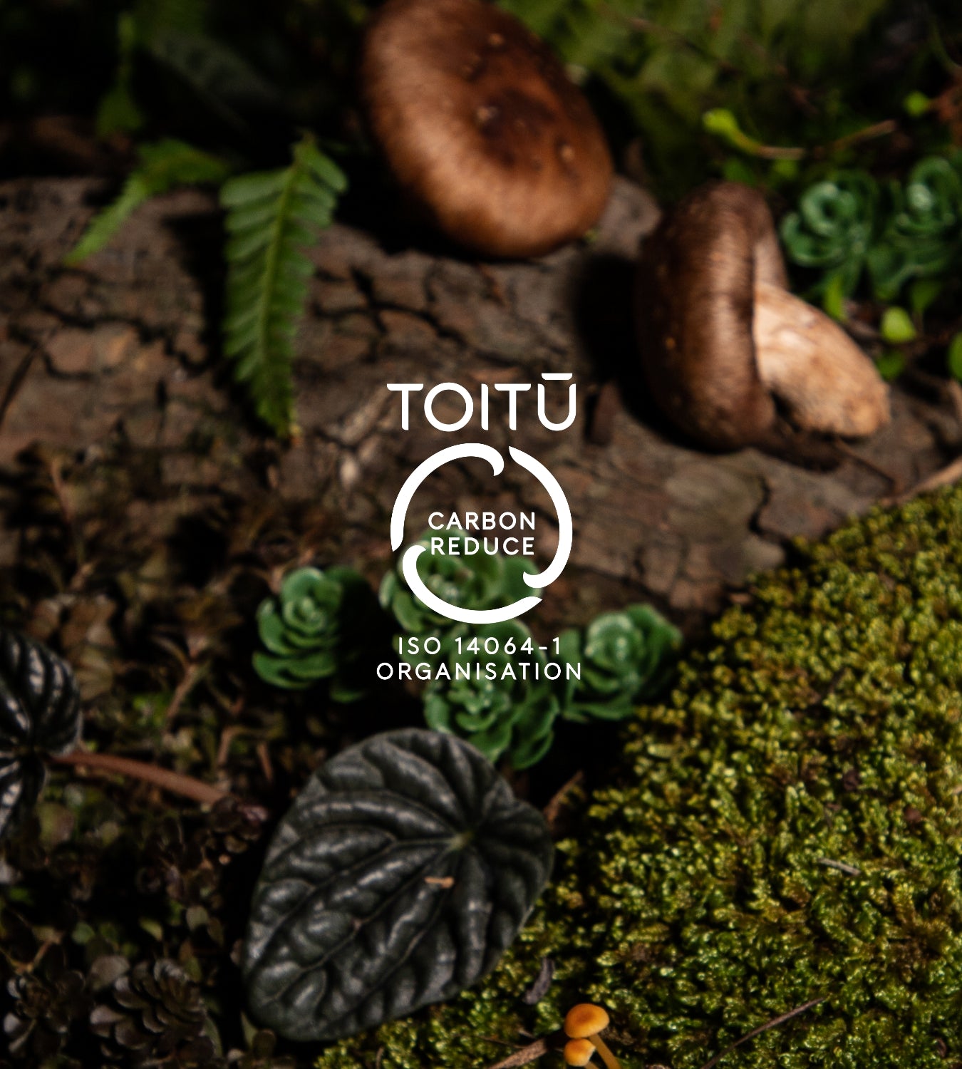 We’re officially a Toitū carbonreduce certified organisation