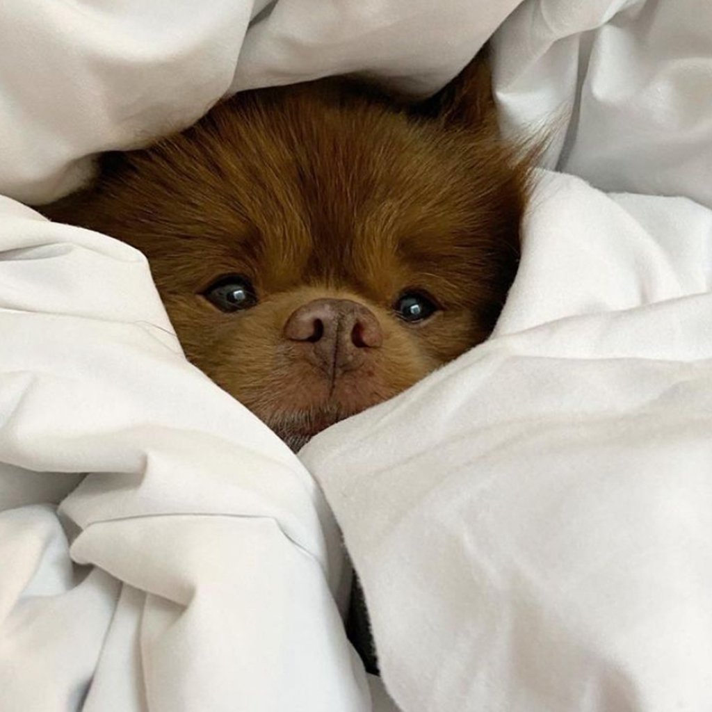 Finding your inner zen